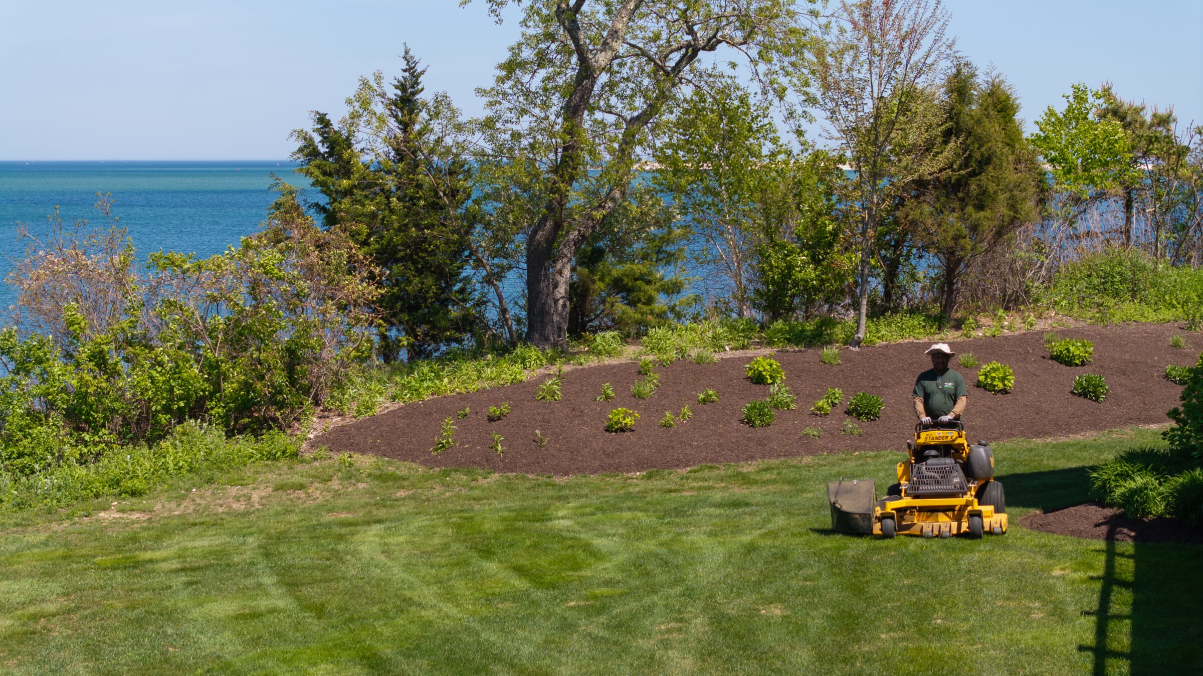 A person operates a yellow lawnmower on a manicured lawn, with a background of trees and an ocean view on a sunny day.