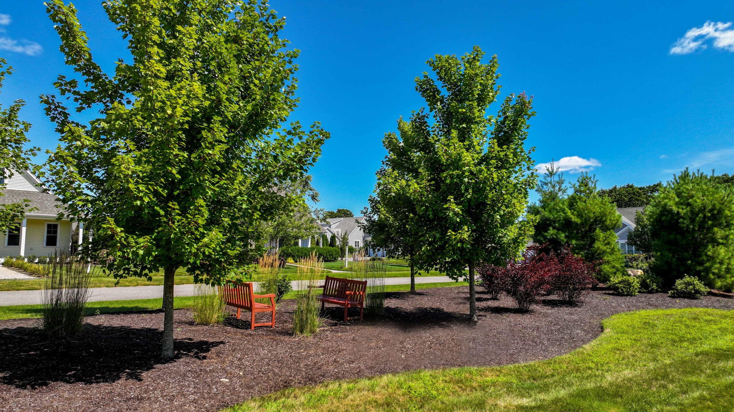 A peaceful, suburban park scene featuring trees, benches, and houses under a clear blue sky, creating a tranquil and inviting atmosphere.