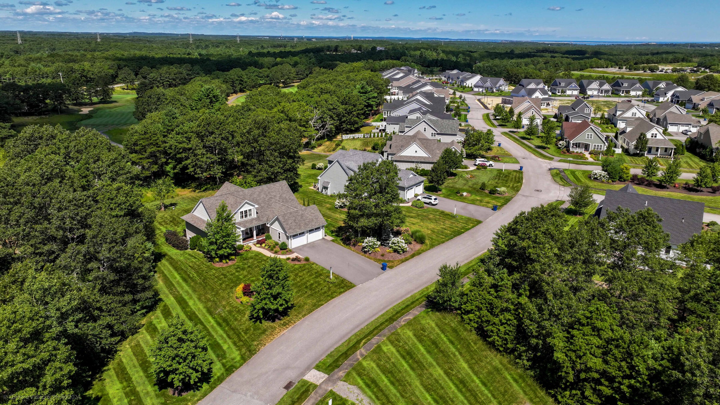Suburban neighborhood aerial view with neatly aligned houses, lush green lawns, and surrounding forest. Clear blue sky and distant landscape visible.