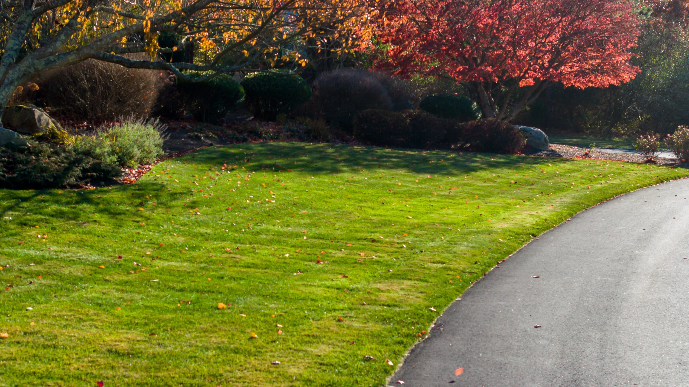 A curved asphalt pathway runs through a well-manicured grassy lawn, flanked by vibrant red and orange autumn foliage under a clear sky.