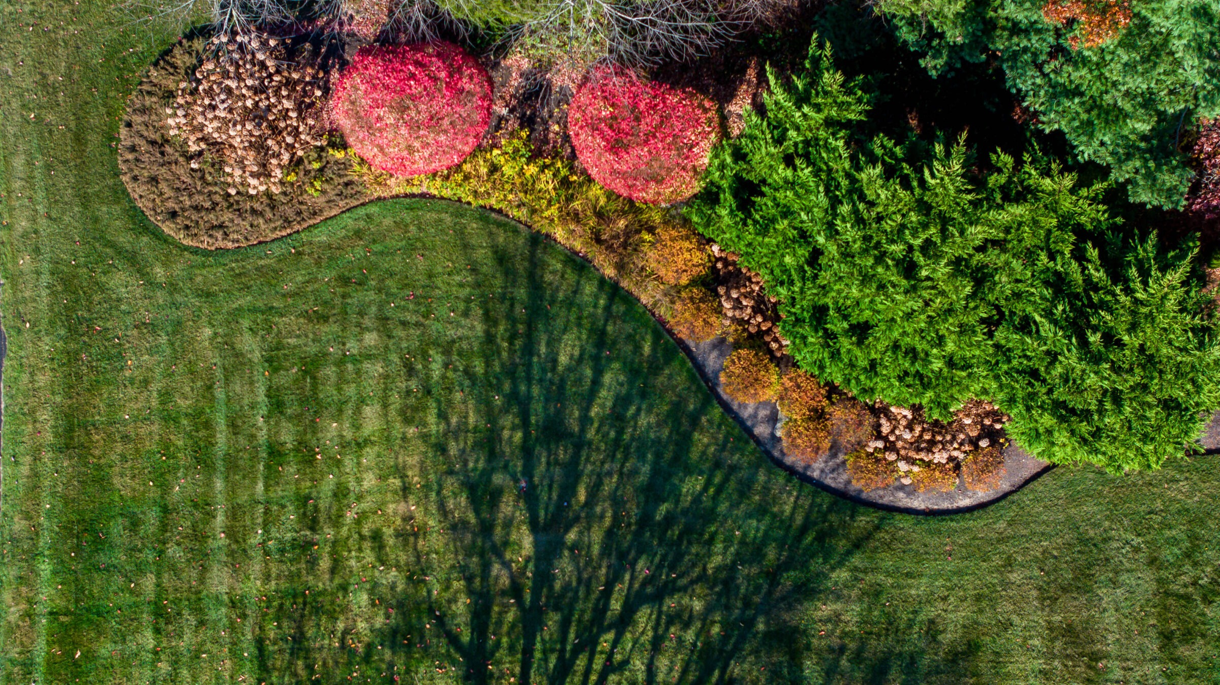 Aerial view of landscaped garden with vibrant shrubs, green grass, and tree shadows, creating a colorful, serene natural pattern.