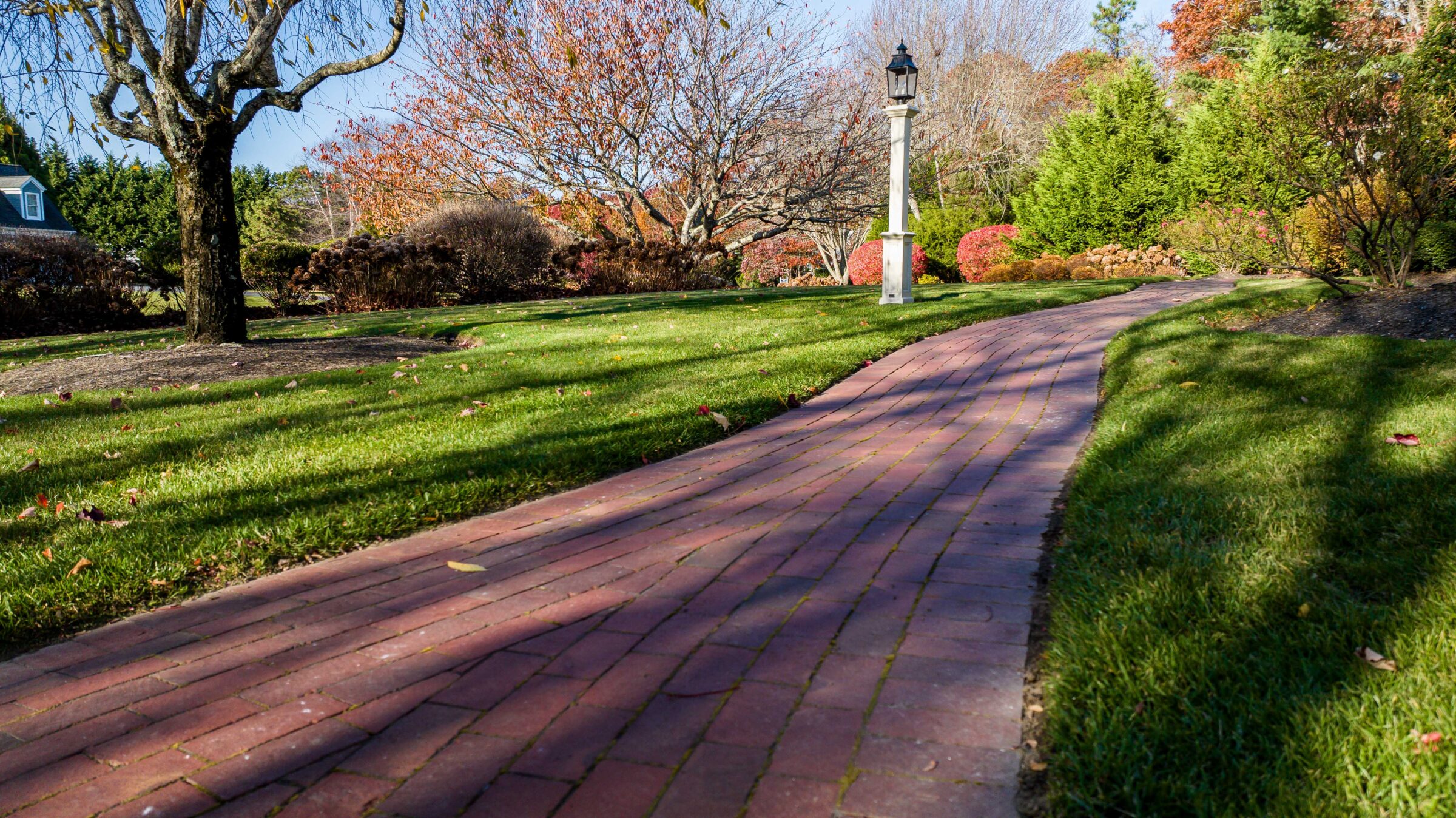 Brick pathway winds through lush, tree-lined garden. A lamp post stands nearby, illuminating the serene, leafy landscape under a clear blue sky.