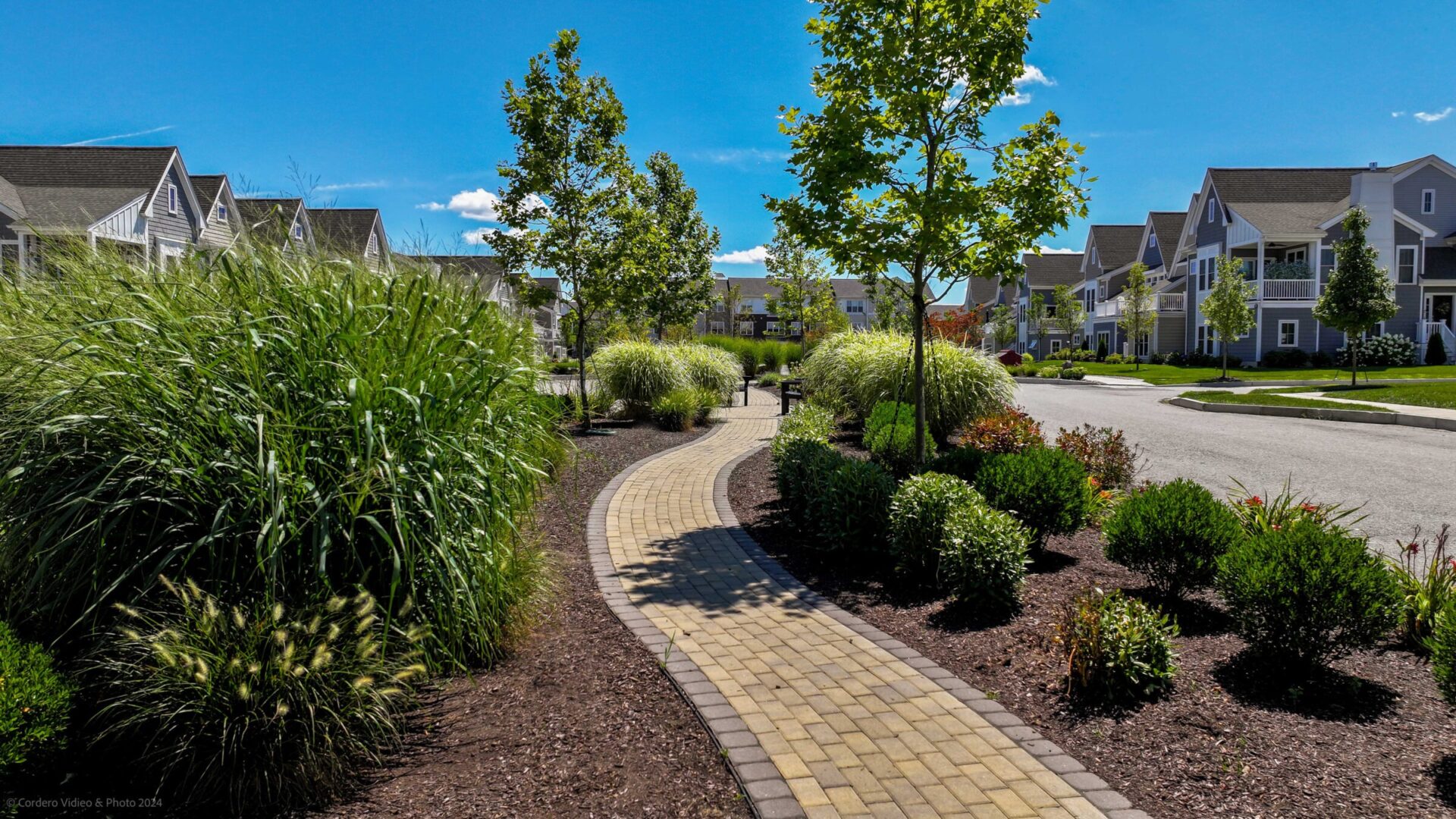 A serene suburban path lined with lush greenery and modern houses under a clear blue sky, creating a peaceful neighborhood atmosphere.
