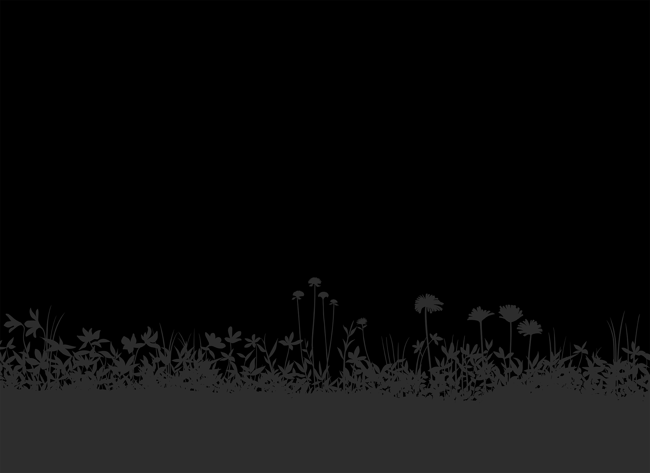 A person stands near a path surrounded by dense forest and wildflowers, creating a serene and natural atmosphere in a woodland setting.