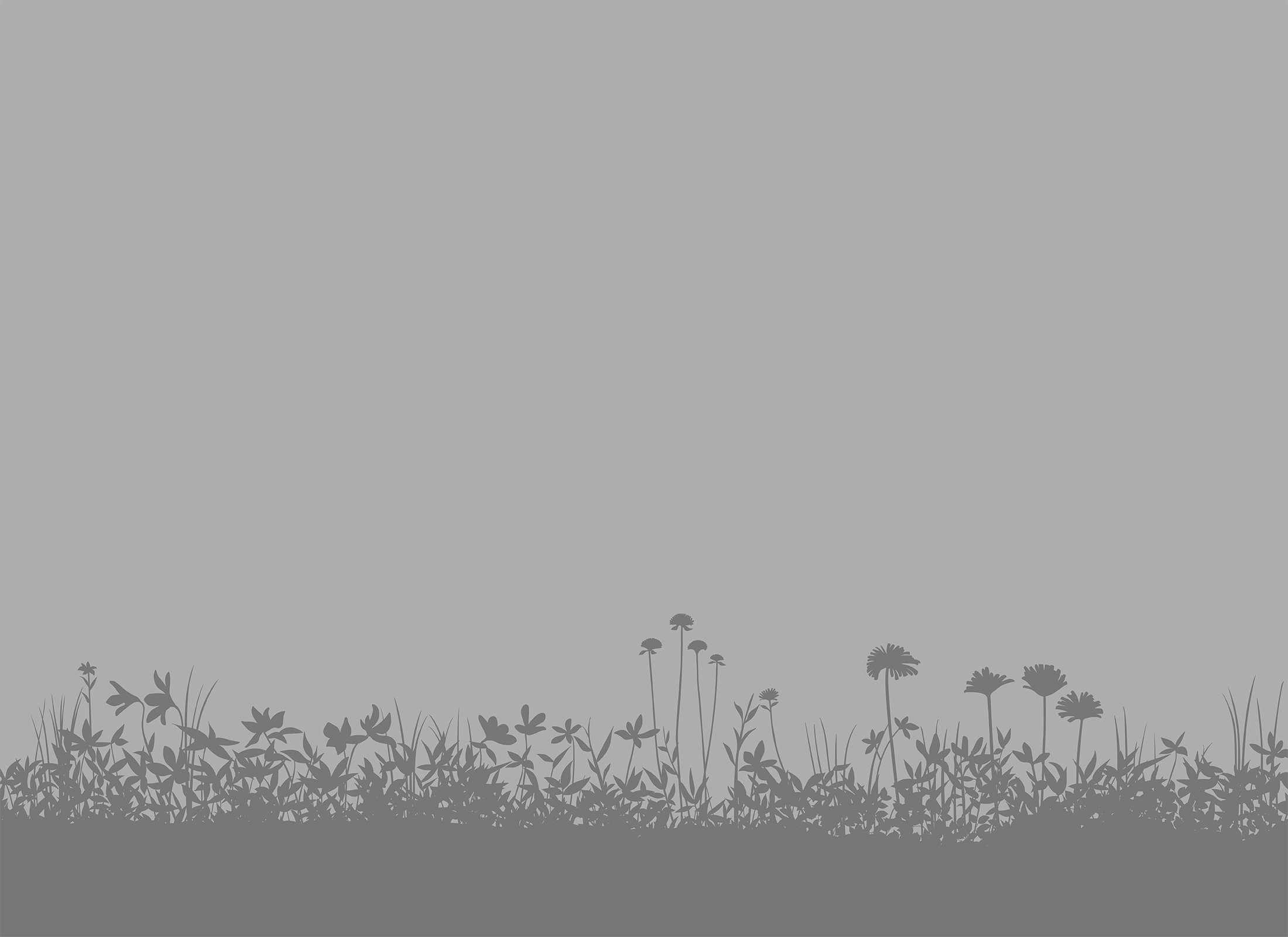 Silhouette of various wildflowers and grass against a plain background. Tall flowers stand prominently, creating a natural, serene scene with minimal details.