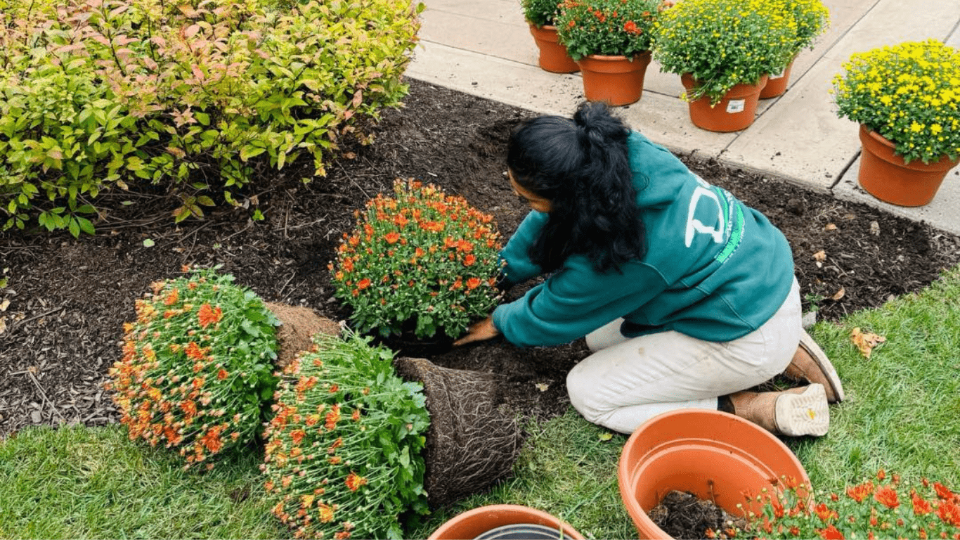 A person in a green sweatshirt plants orange flowers in a garden, surrounded by potted plants and greenery.