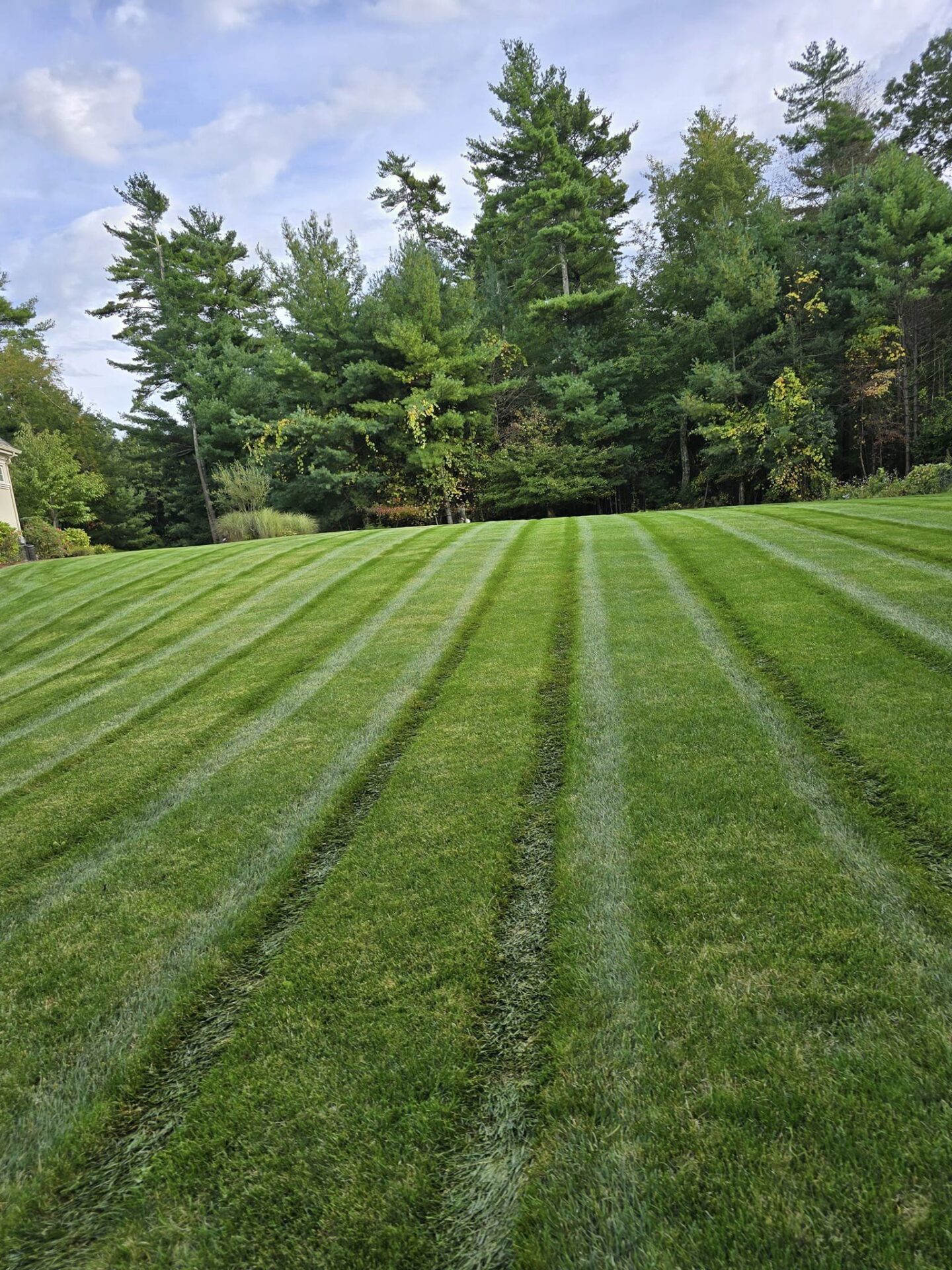 A well-manicured lawn with striped grass patterns set against a backdrop of tall, lush green trees under a partly cloudy sky.