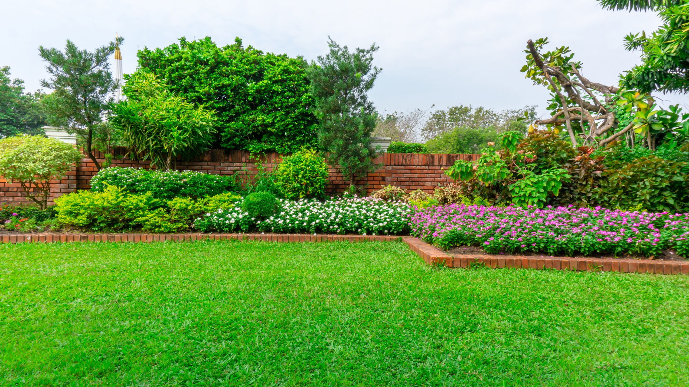 A lush garden with vibrant flowers and shrubs, bordered by a red brick wall, under a clear sky.