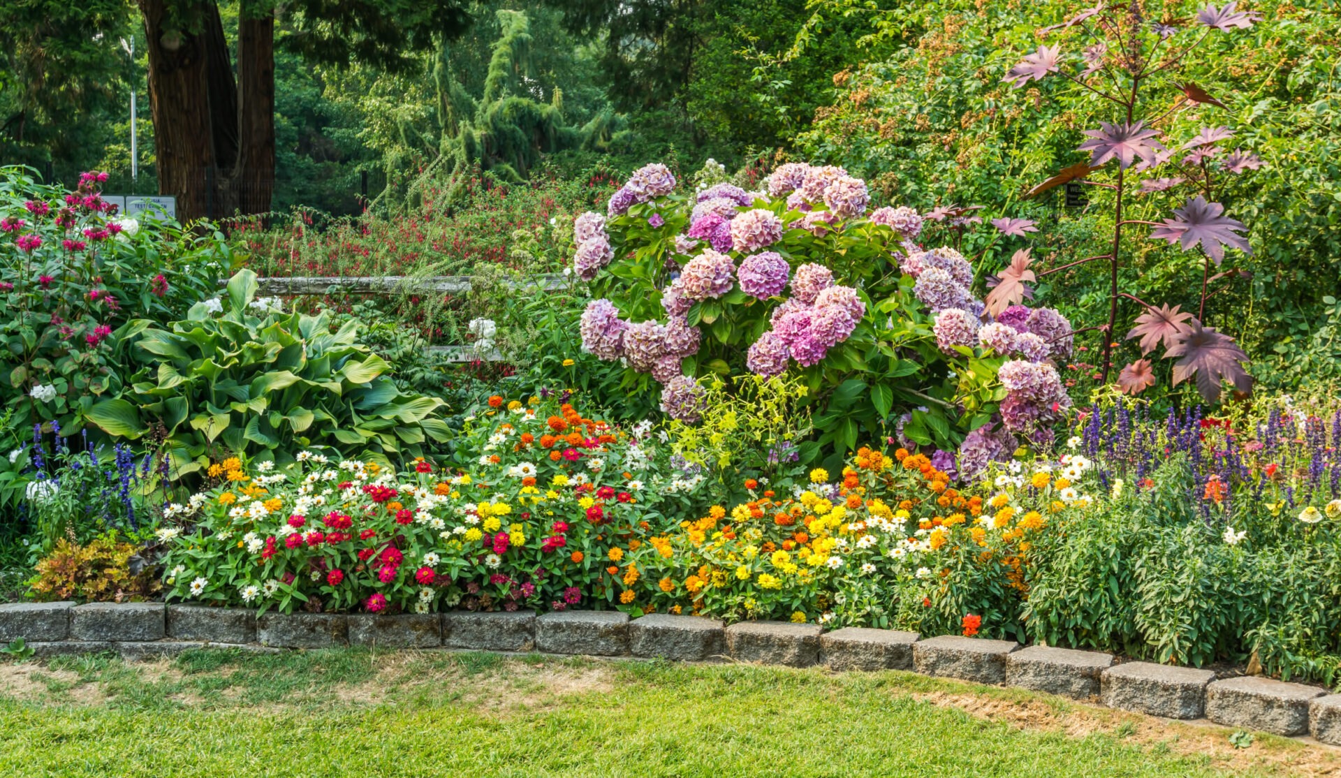 A vibrant garden blooms with colorful flowers and lush greenery, framed by mature trees, creating a serene and picturesque outdoor setting.