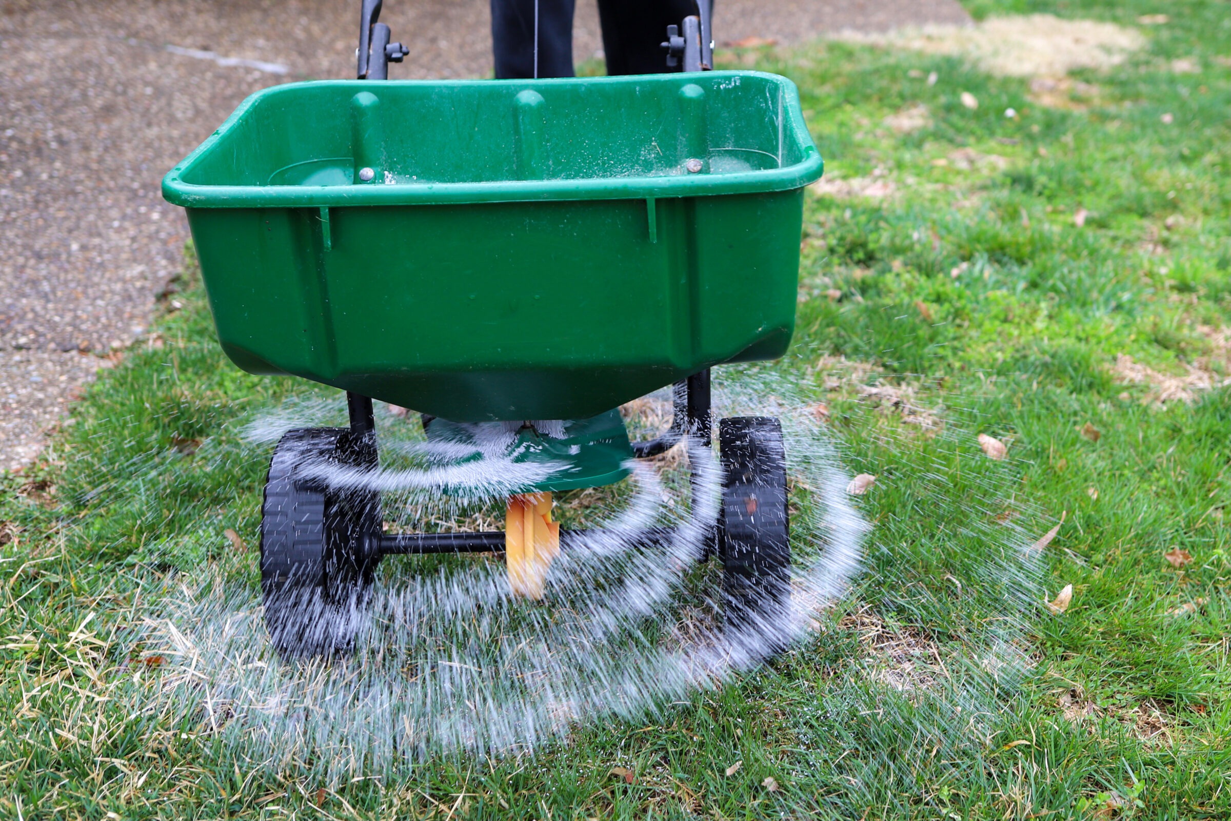 A person operates a green fertilizer spreader, dispersing granules in a circular pattern onto the lawn.