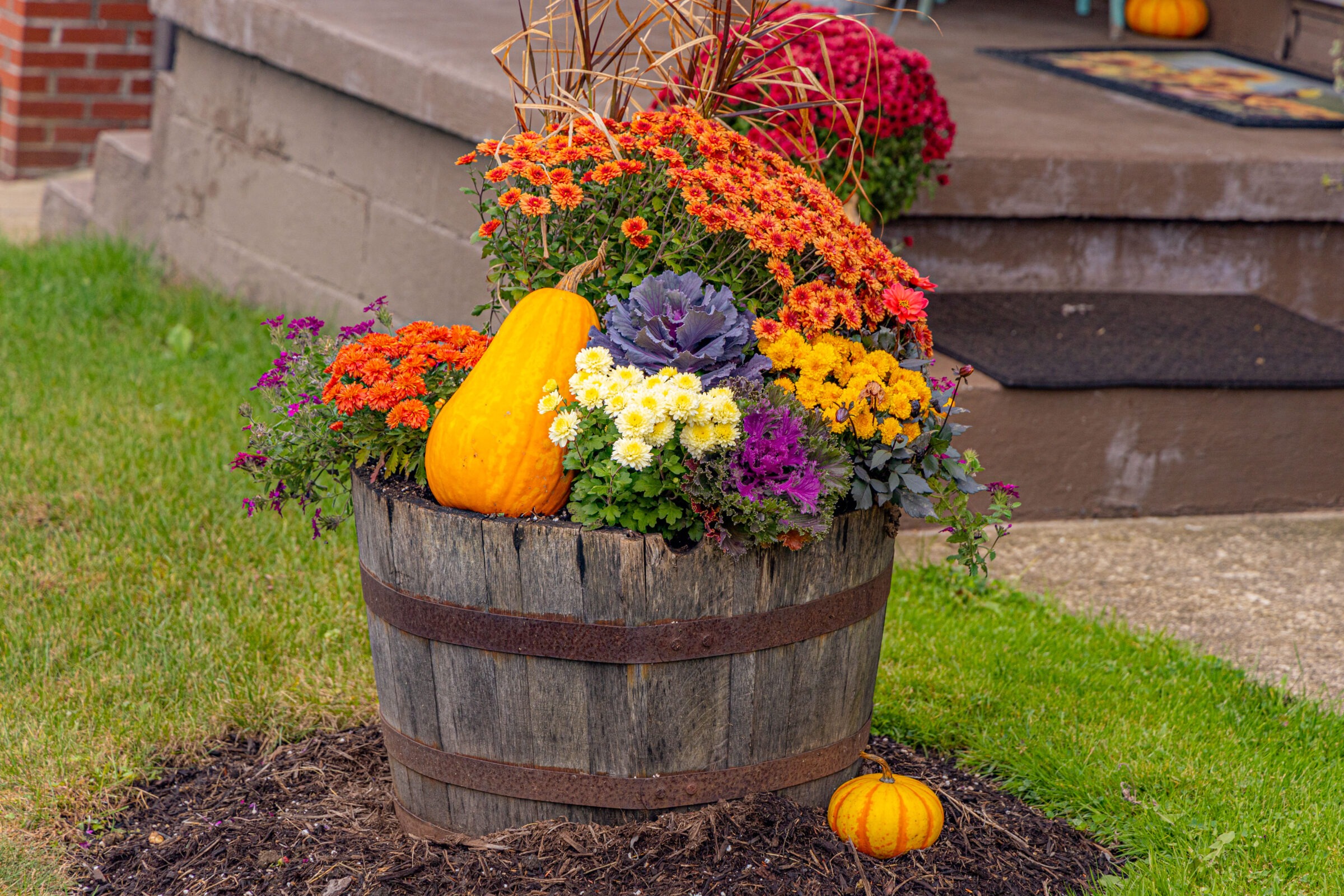 A barrel planter filled with vibrant fall flowers and pumpkins sits on a lawn beside a home's porch steps.