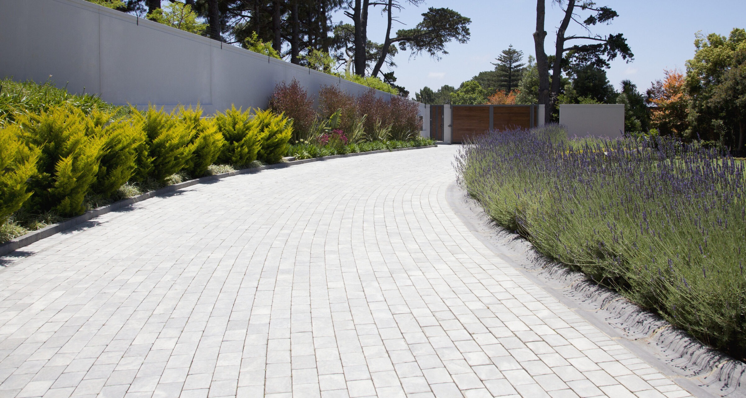 A curved paved pathway lined with greenery and lavender, bordered by a tall white fence under a clear blue sky.