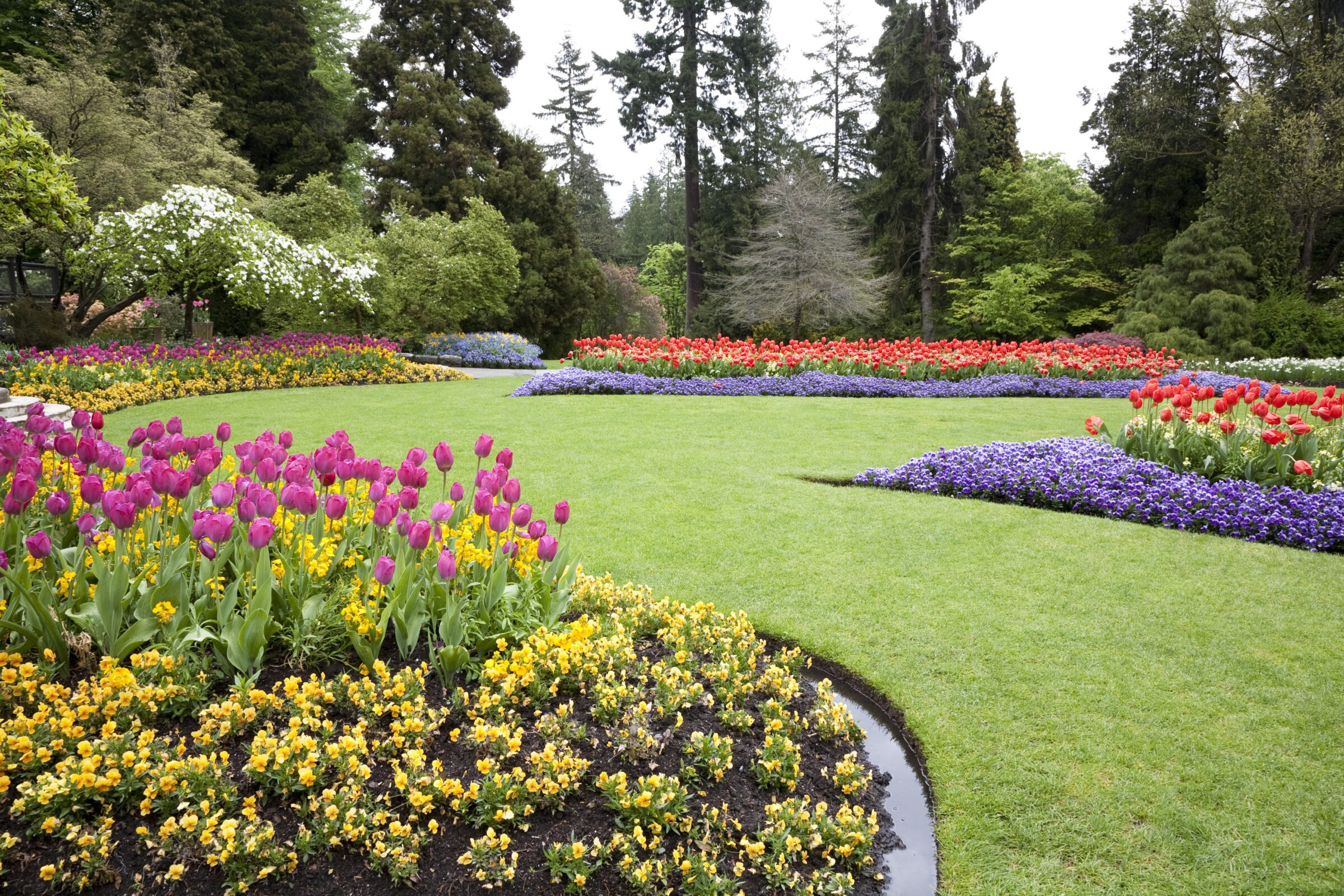 A vibrant garden with colorful flower beds, lush green lawn, and tall trees creating a serene, picturesque landscape. No landmarks visible.