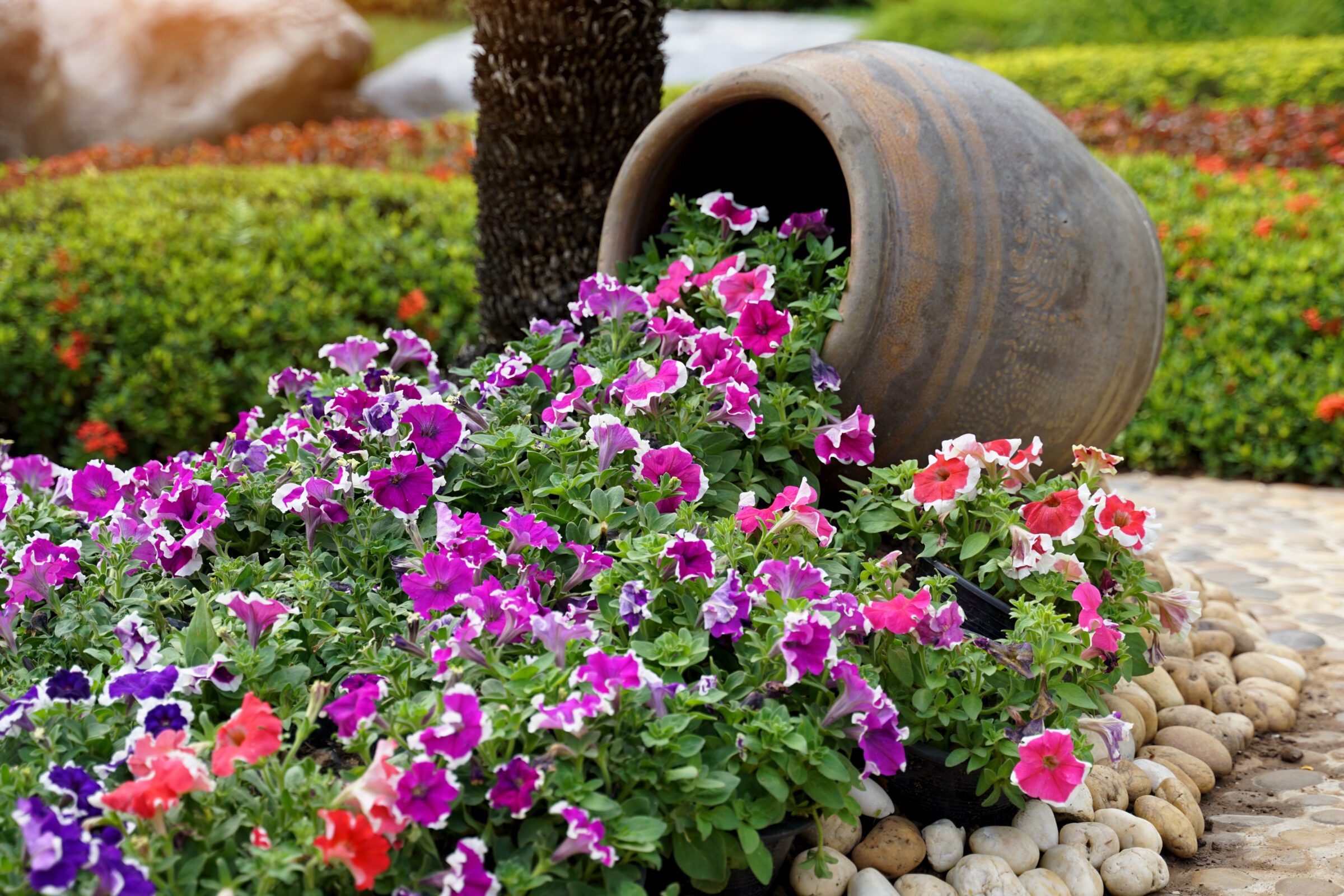 An overturned pot spills vibrant purple and pink flowers onto a stone path, surrounded by lush greenery and decorative rocks.