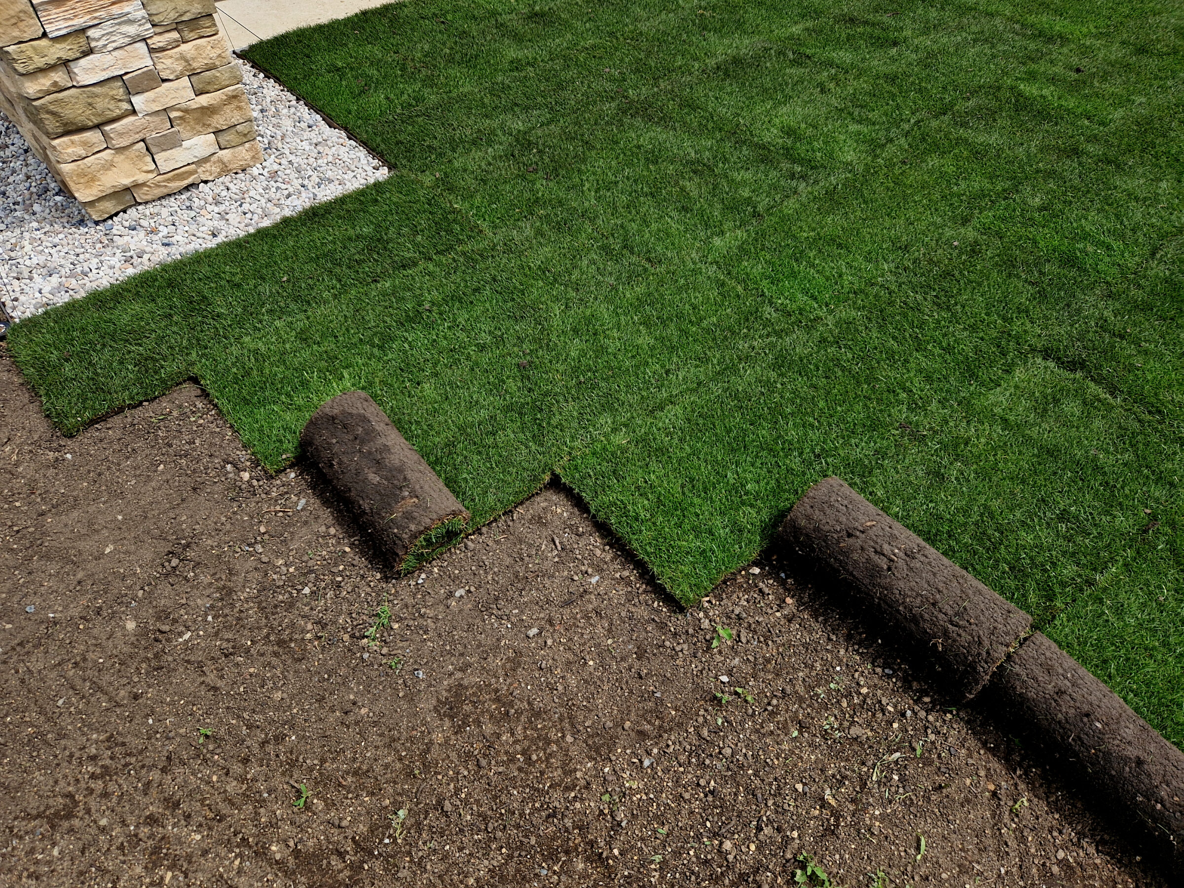 Rolls of fresh sod being laid on soil beside a stone-bordered area, creating a lush green lawn under construction.