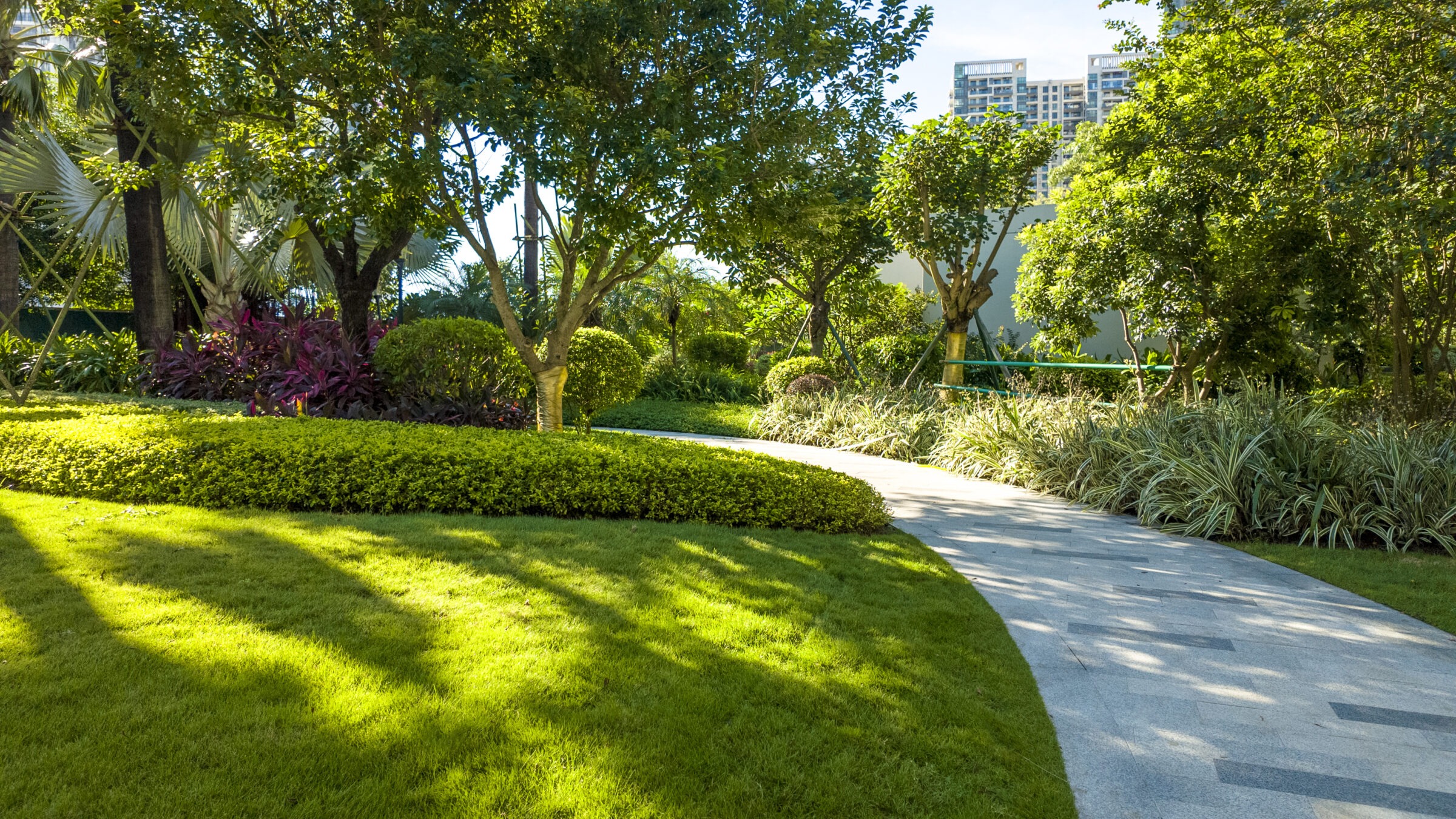 A lush green park with a winding path, diverse plants, and trees, bordered by tall modern buildings in the distance.