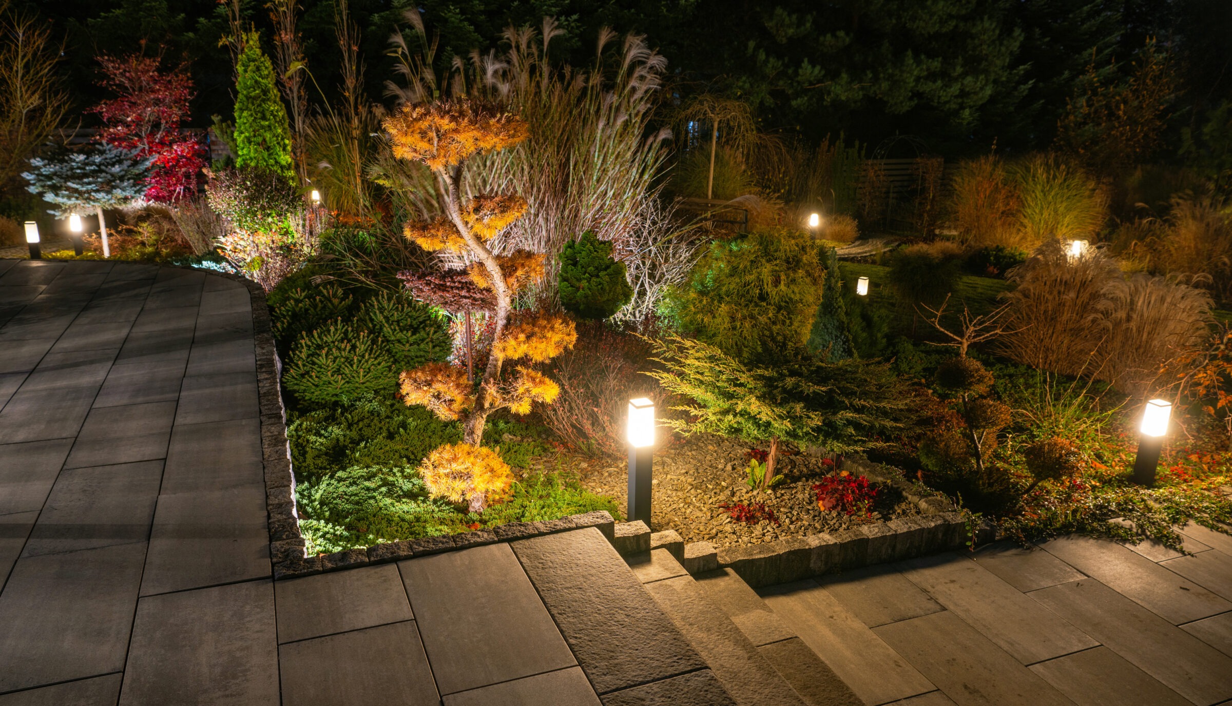 Illuminated garden at night featuring diverse, colorful foliage with stone paths and soft lighting creating a serene, tranquil atmosphere.