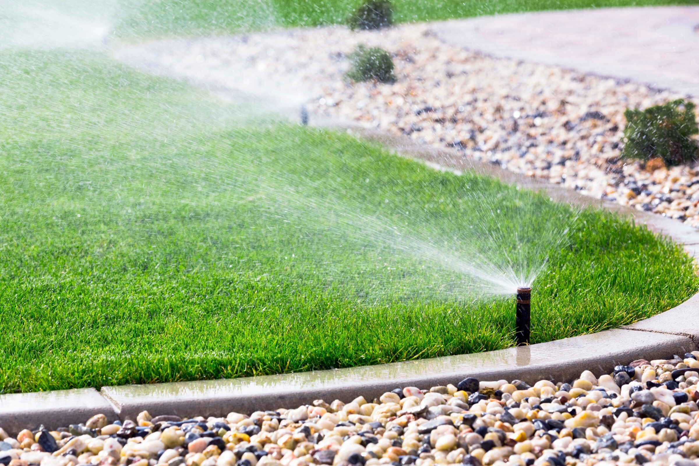 A sprinkler waters a vibrant green lawn, bordered by a neatly arranged stone pathway and decorative pebbles under bright sunlight.