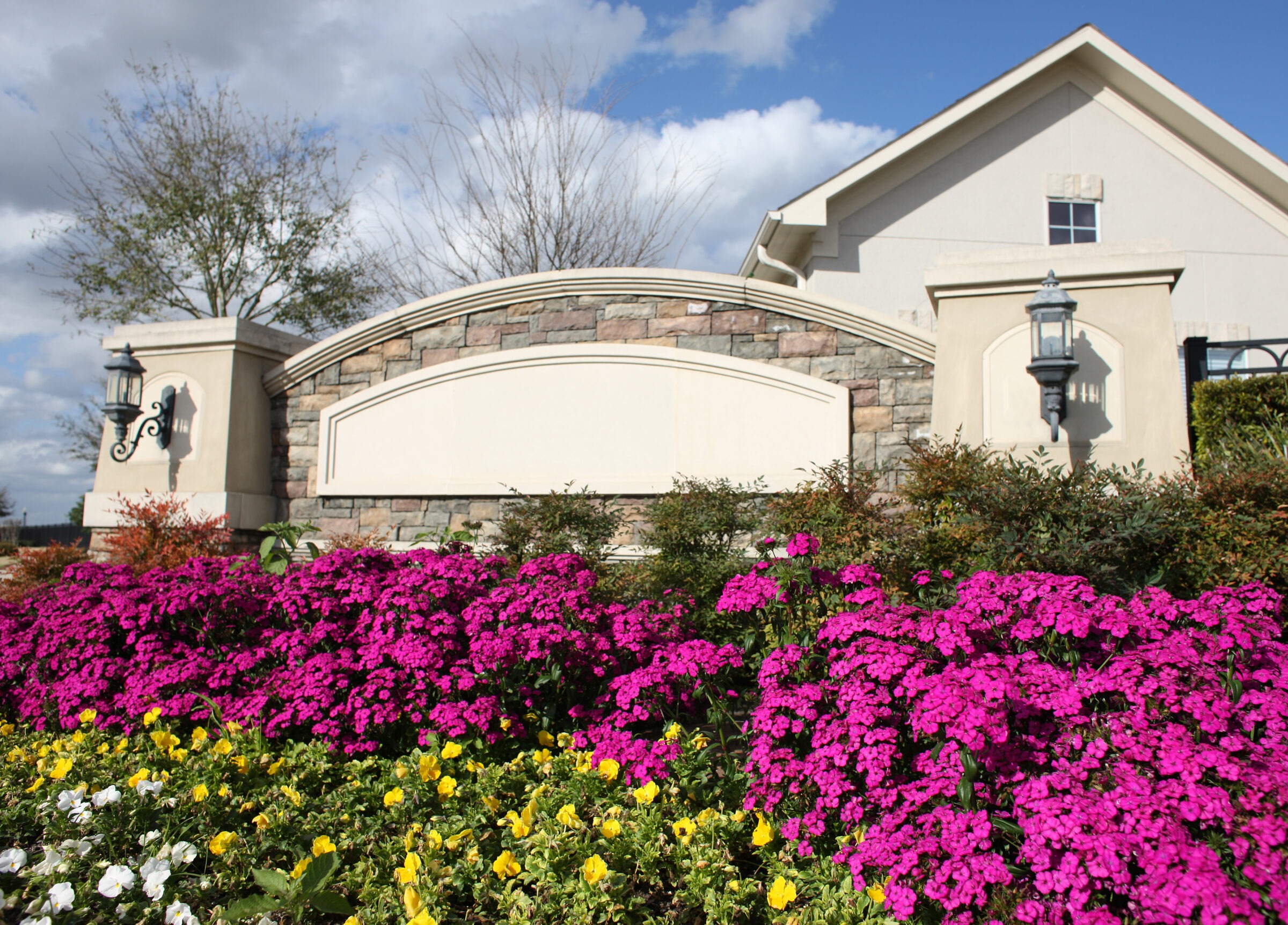 Vibrant garden with purple and yellow flowers in front of a stone wall and lanterns. Clear blue sky and house background.