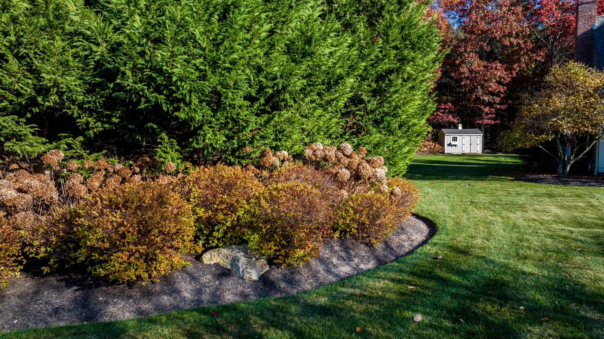 Community and local plants