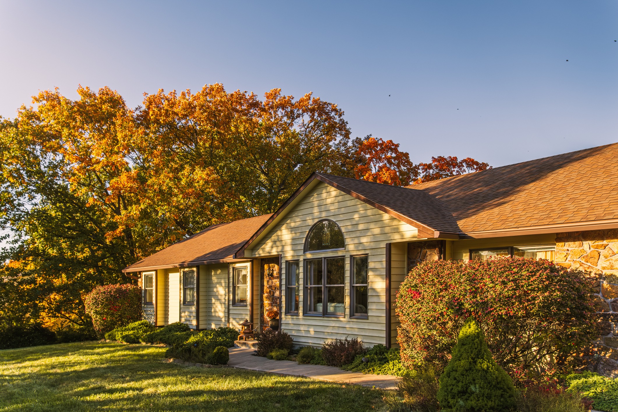 Midwestern suburban house in fall at sunset; large trees with autumn foliage behind house and long shadows on the lawn
