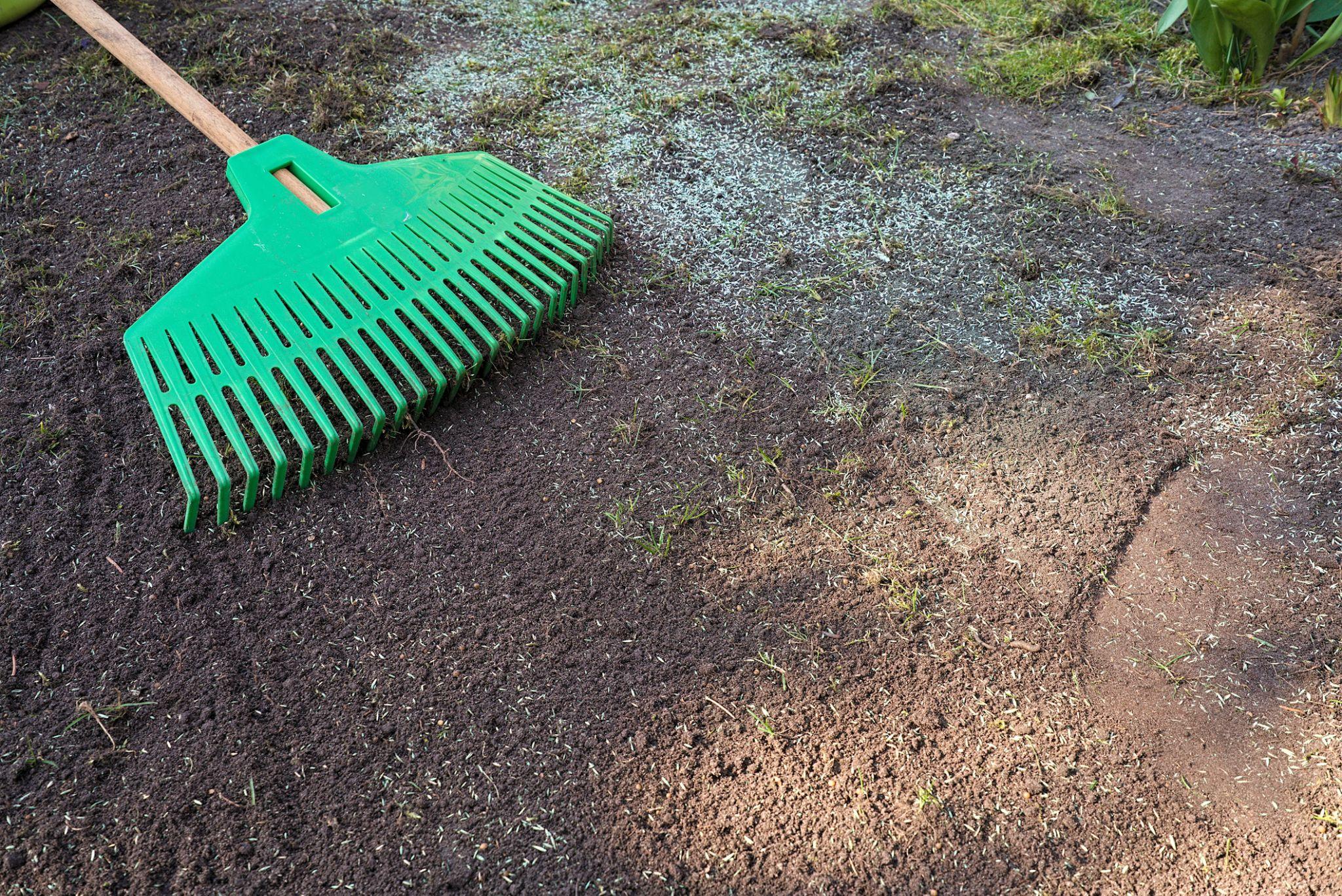 Lawn preparation with rake and soil before grass seeding