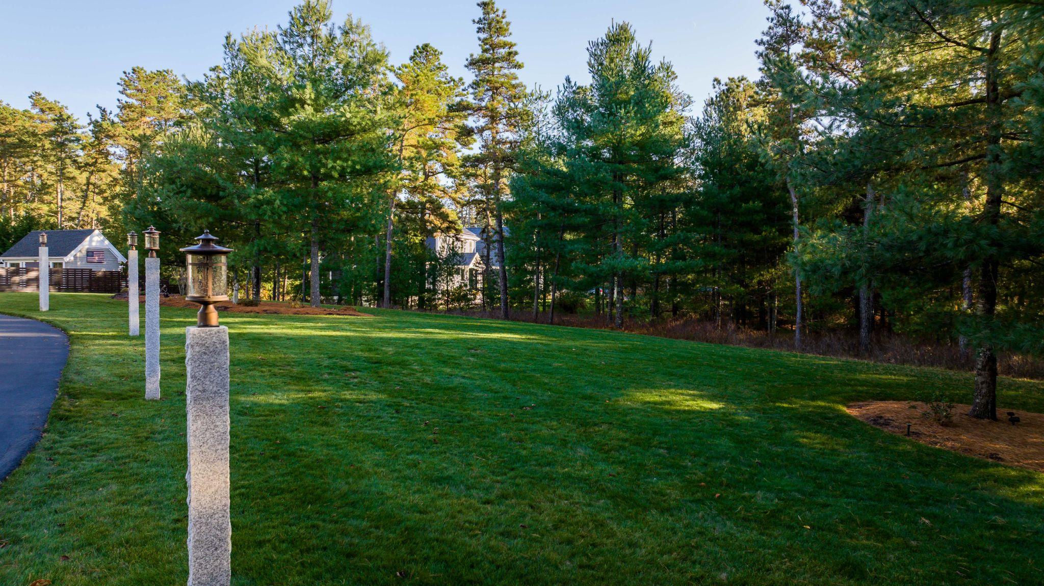 Lawn with driveway, trees, and natural landscape setting