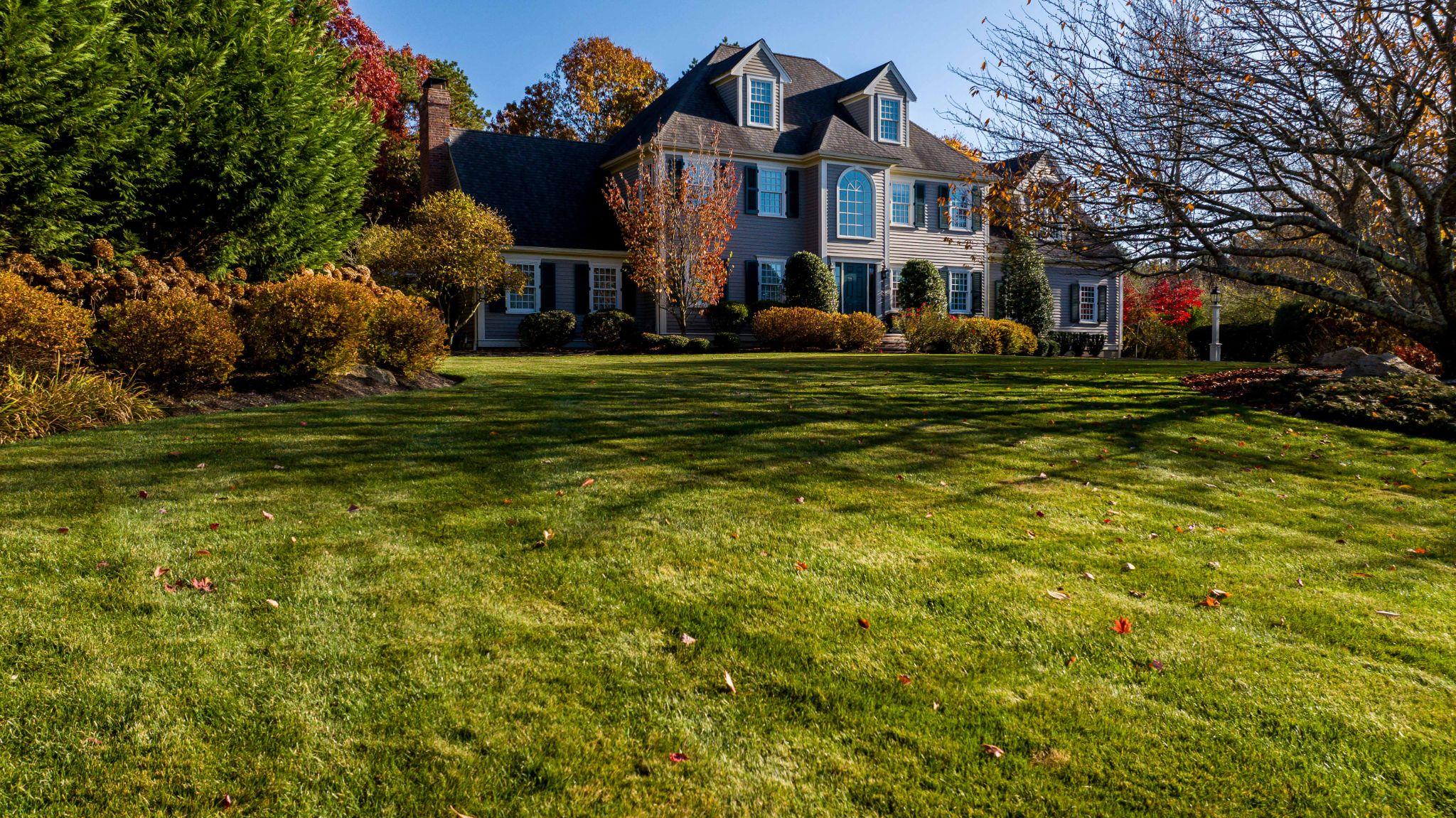 Spacious lawn with mature trees and landscaped property